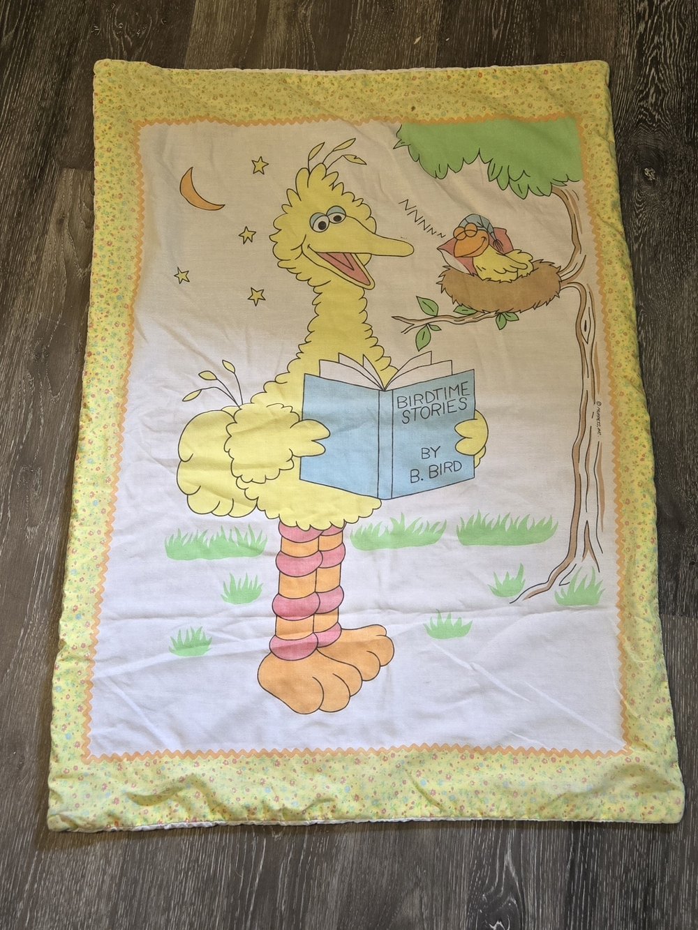 Sesame Street Yellow Big Bird Storytime Kids Blanket with Pastel Accents